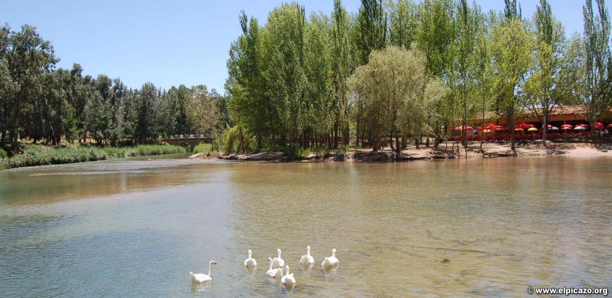 Casa Rural Las Tejas El Picazo 外观 照片